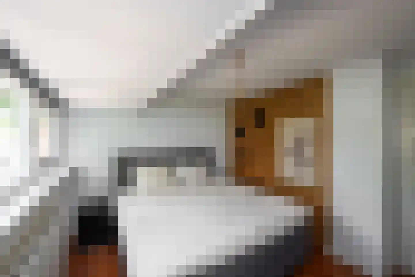 Lindenlaan 121 Huizen thumbnail 21