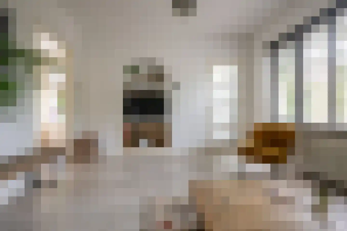 Lindenlaan 121 Huizen thumbnail 9