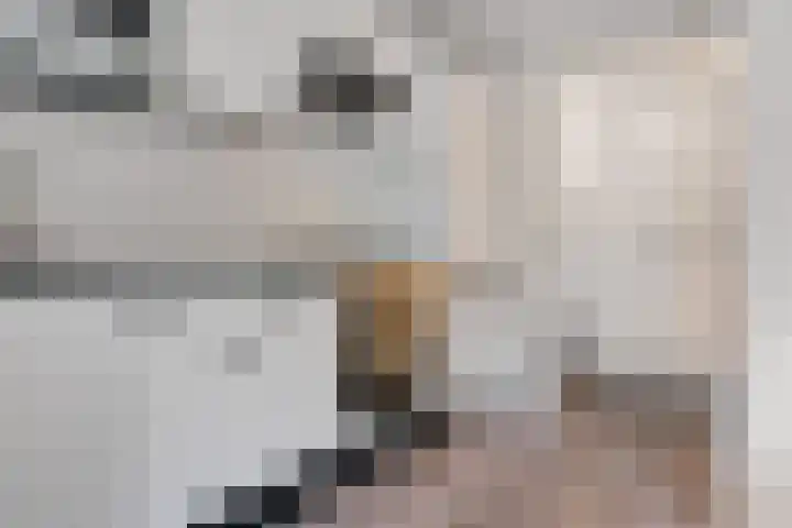 Lindenlaan 129 C Alkmaar thumbnail 11