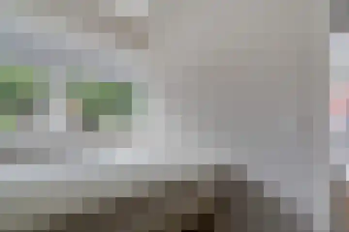 Lindenlaan 129 C Alkmaar thumbnail 14