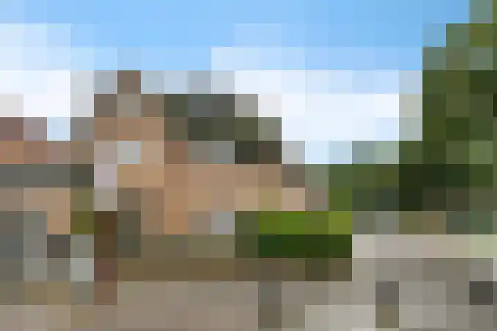 Lindenlaan 129 C Alkmaar thumbnail 20