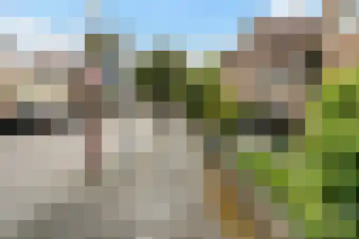 Lindenlaan 129 C Alkmaar thumbnail 23