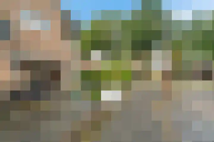 Lindenlaan 129 C Alkmaar thumbnail 24