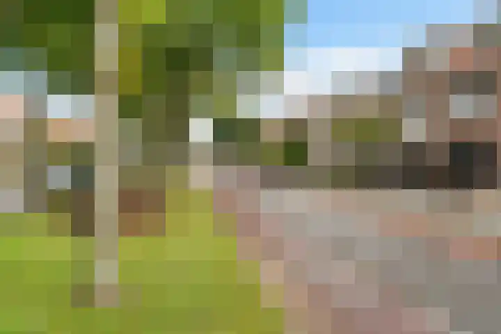 Lindenlaan 129 C Alkmaar thumbnail 26