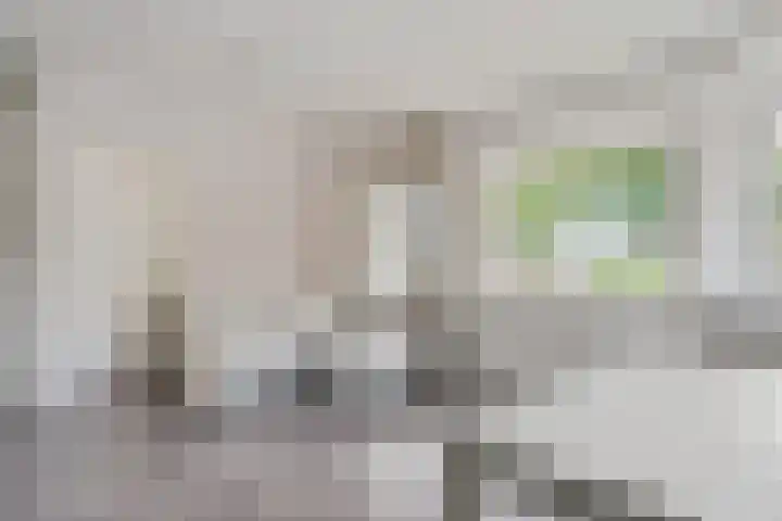 Lindenlaan 129 C Alkmaar thumbnail 4