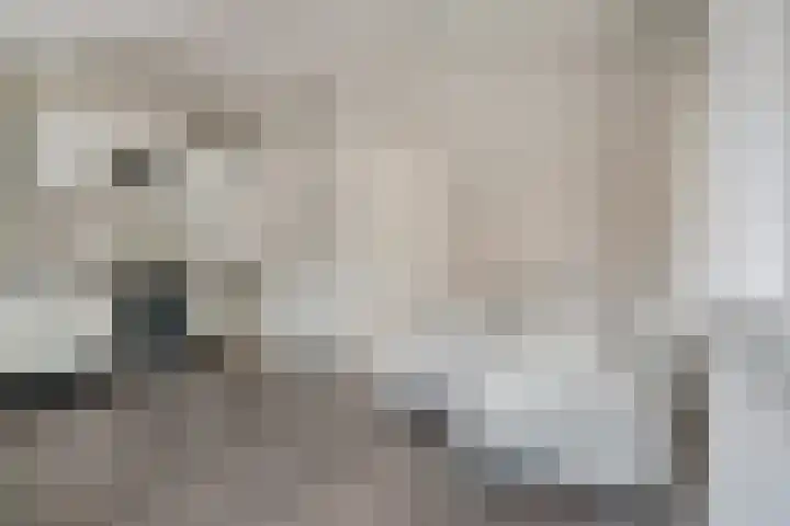 Lindenlaan 129 C Alkmaar thumbnail 6