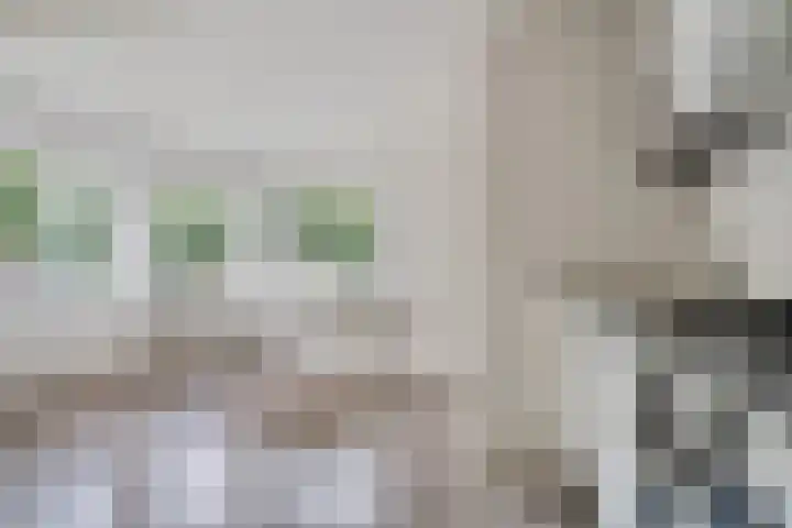 Lindenlaan 129 C Alkmaar thumbnail 9