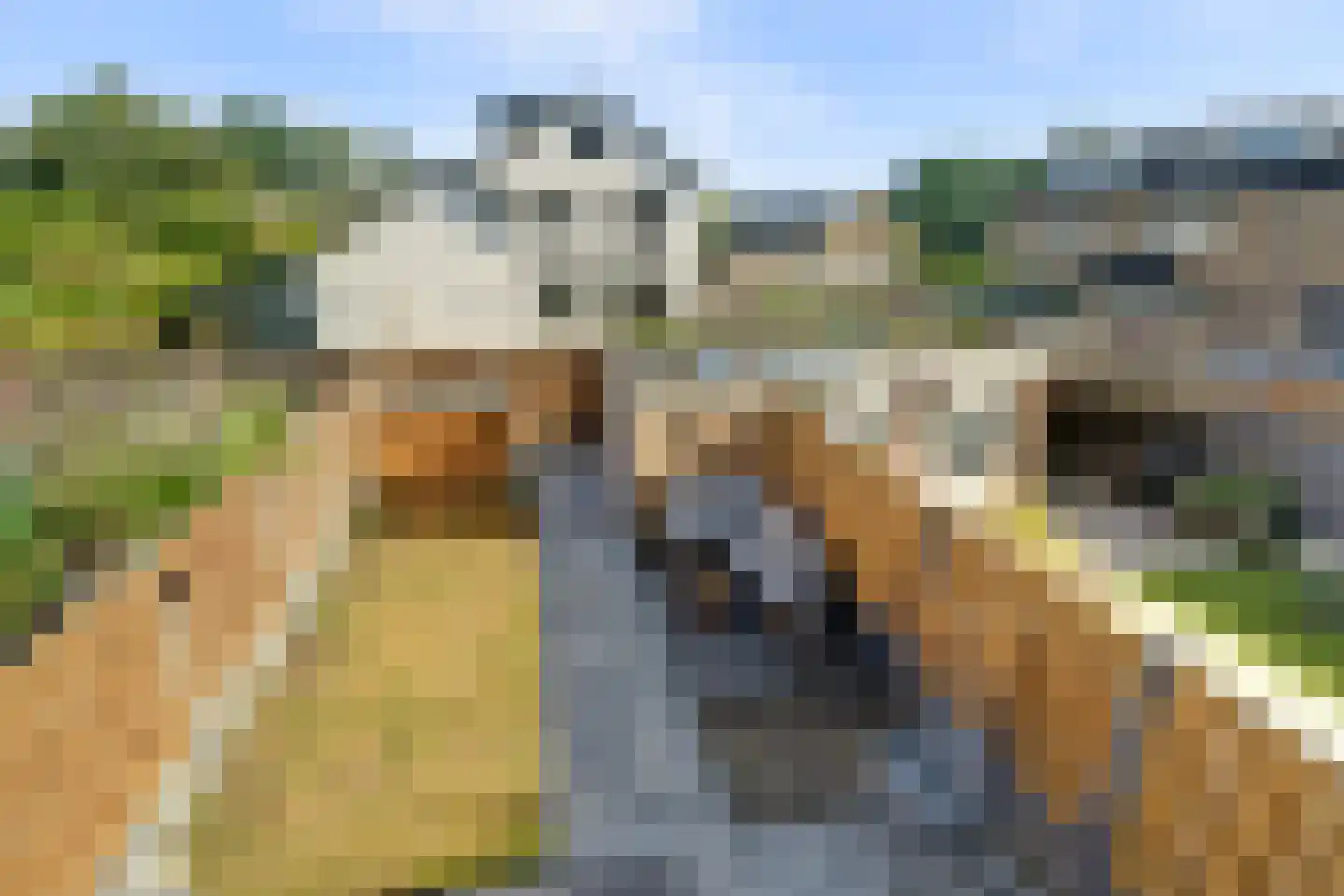 Lindenlaan 13 Bemmel thumbnail 26