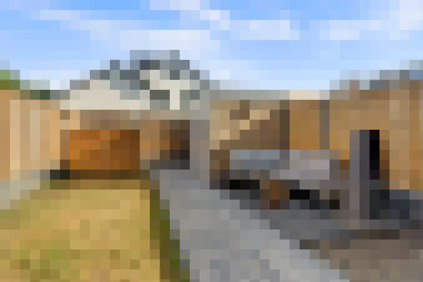 Lindenlaan 13 Bemmel thumbnail 27