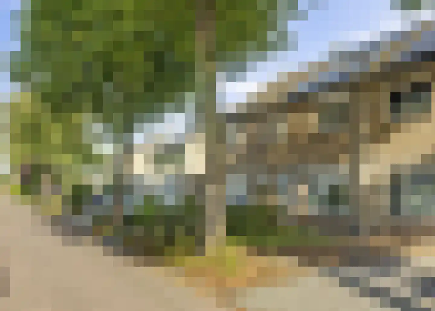 Lindenlaan 13 Bemmel thumbnail 28