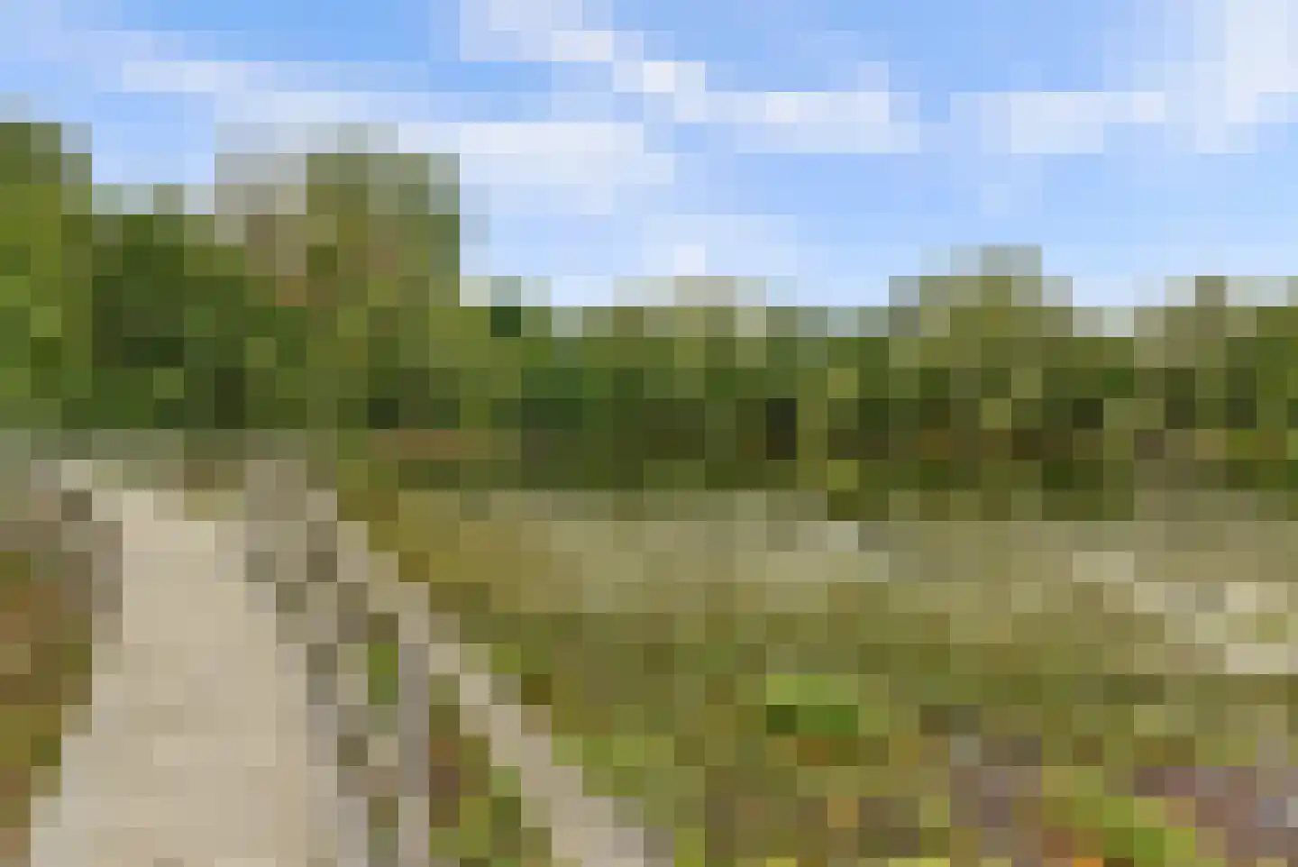 Lindenlaan 13 Bemmel thumbnail 29