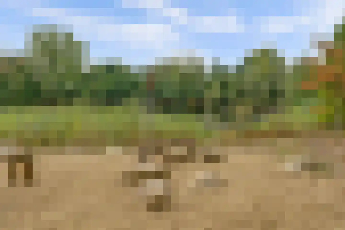 Lindenlaan 13 Bemmel thumbnail 30