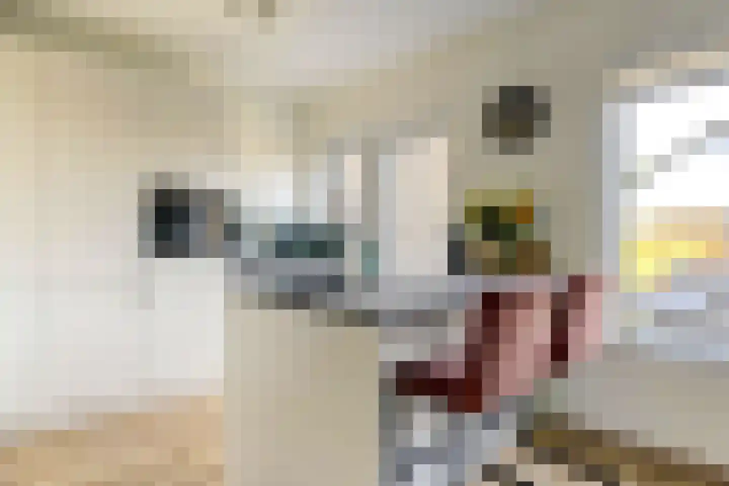 Lindenlaan 13 Bemmel thumbnail 4