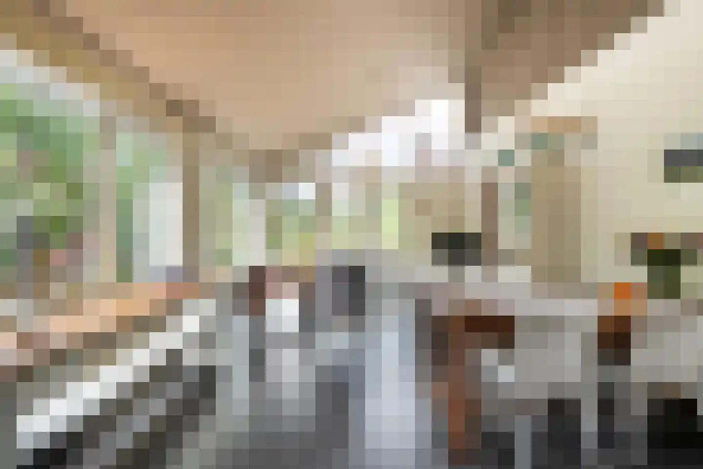 Lindenlaan 131 Ommen thumbnail 10
