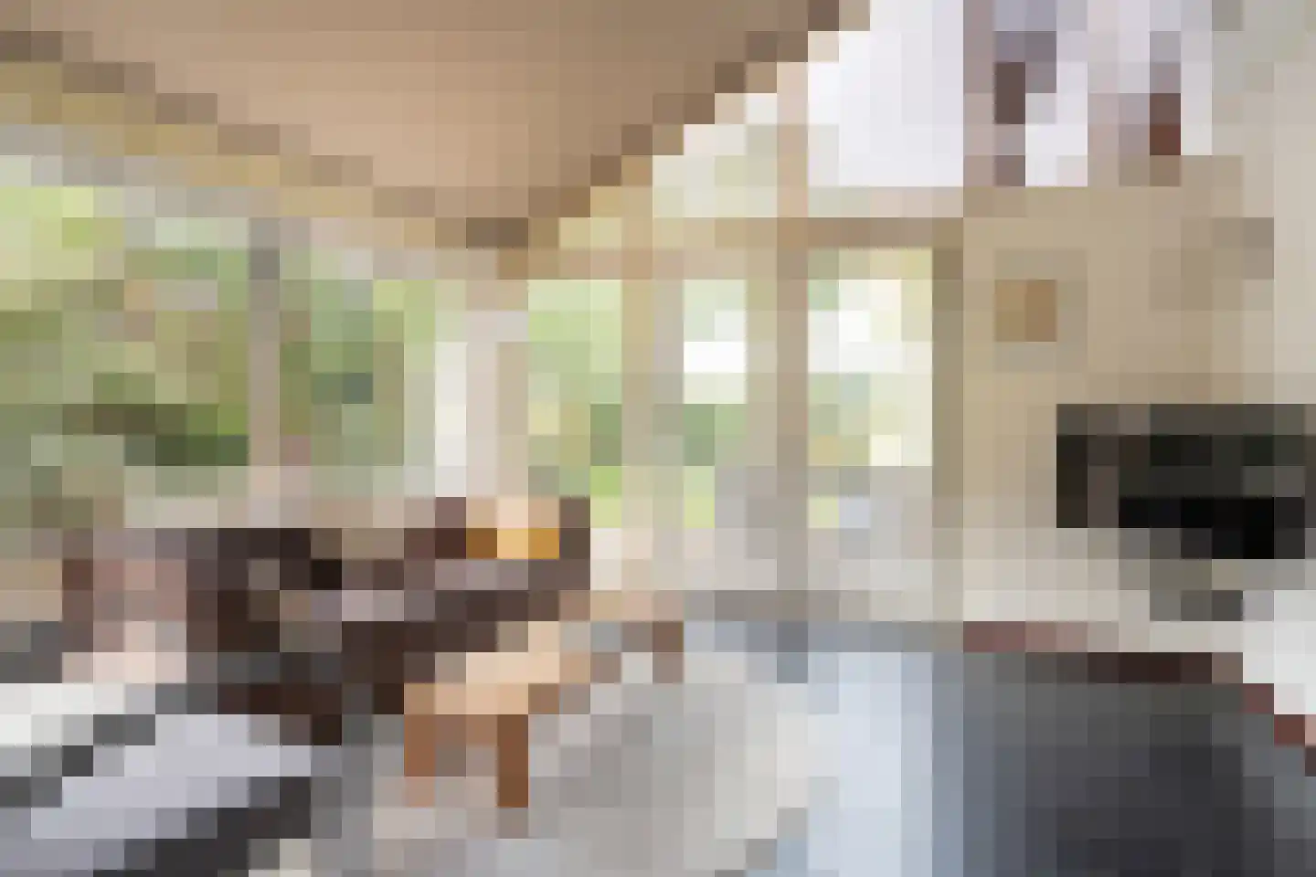 Lindenlaan 131 Ommen thumbnail 11