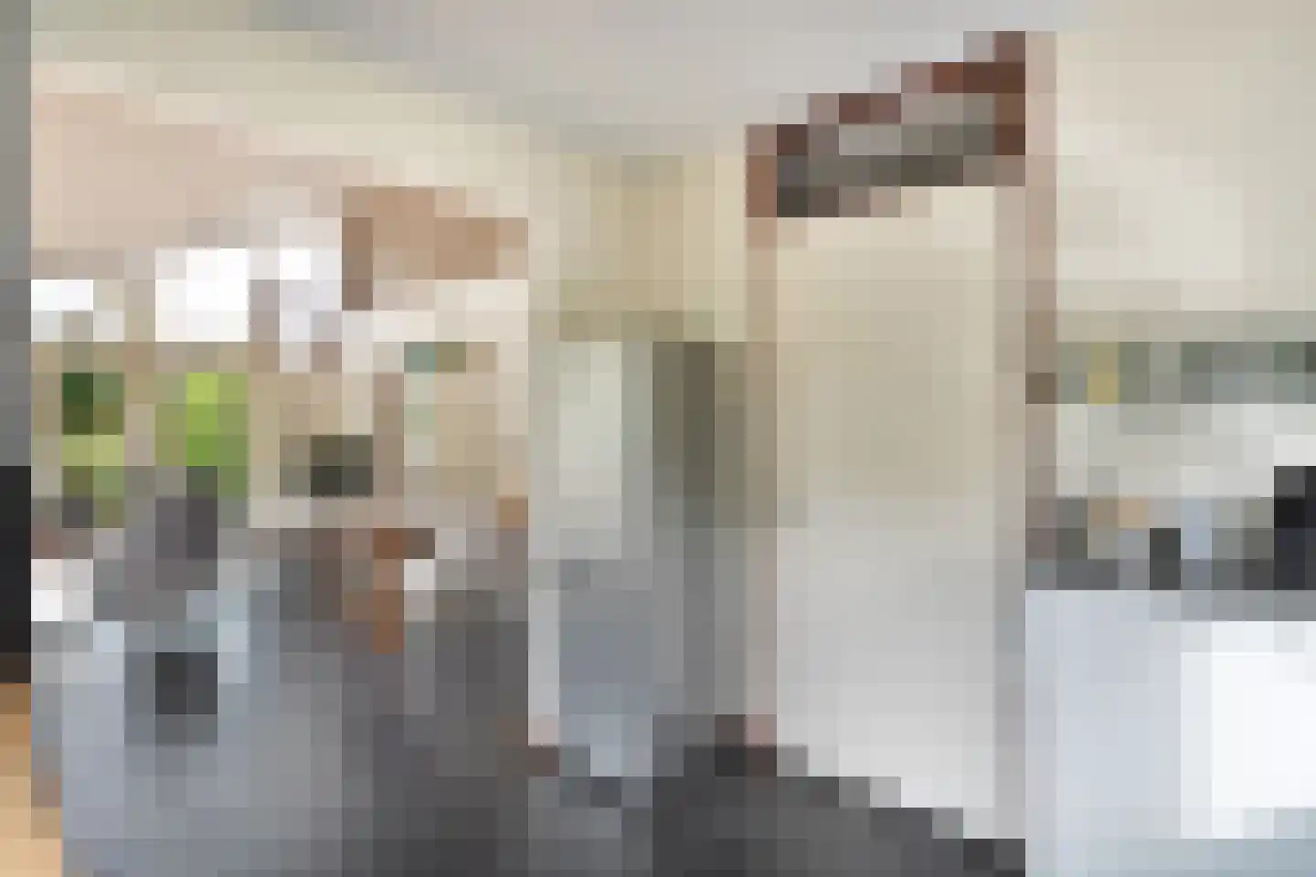 Lindenlaan 131 Ommen thumbnail 16