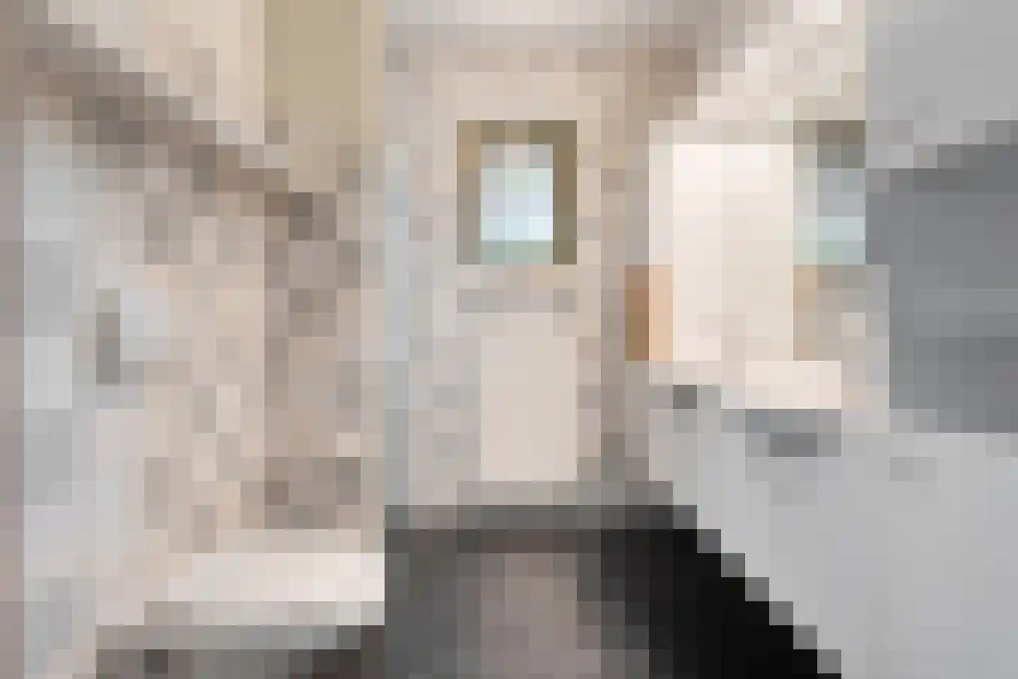 Lindenlaan 131 Ommen thumbnail 27