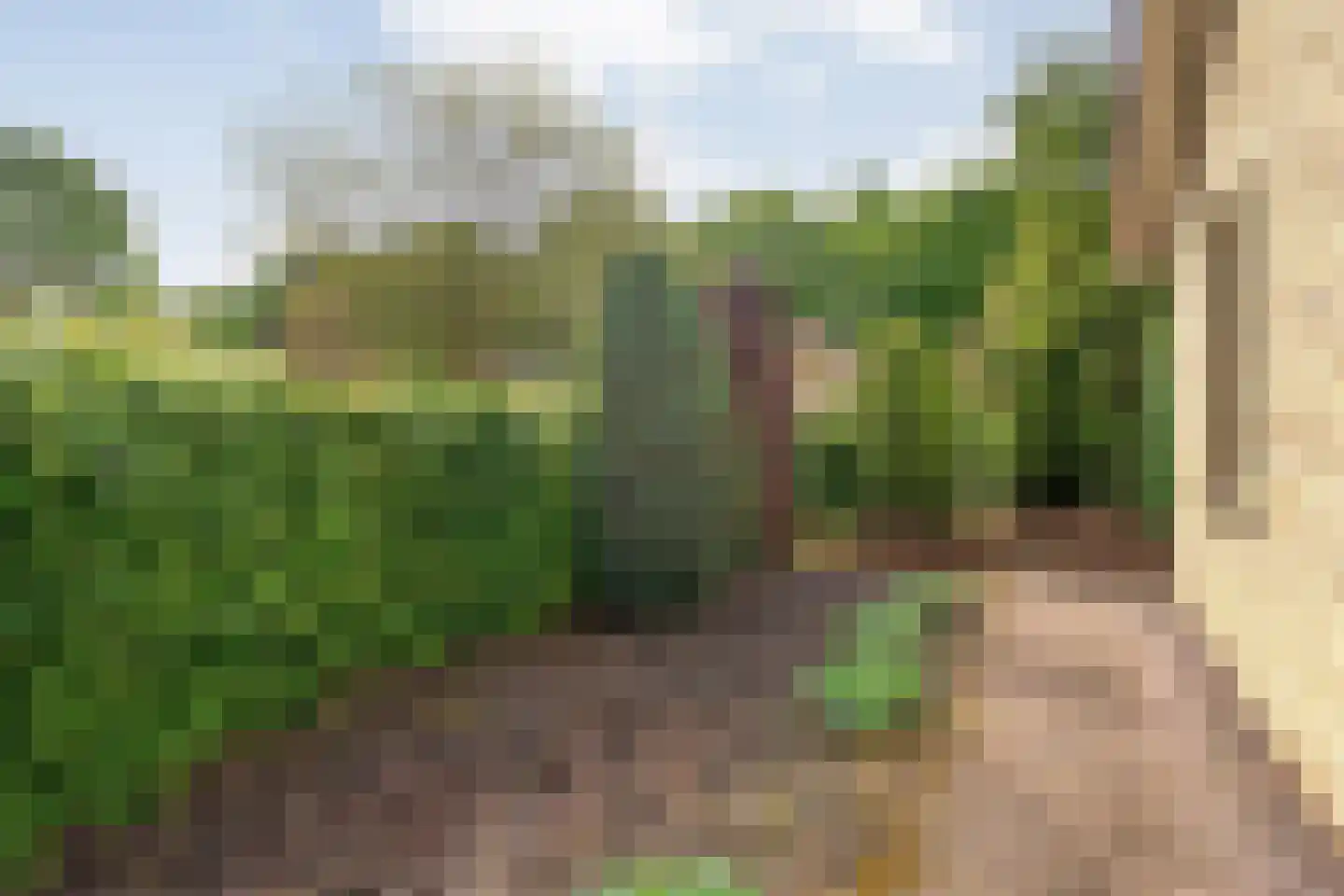 Lindenlaan 131 Ommen thumbnail 33