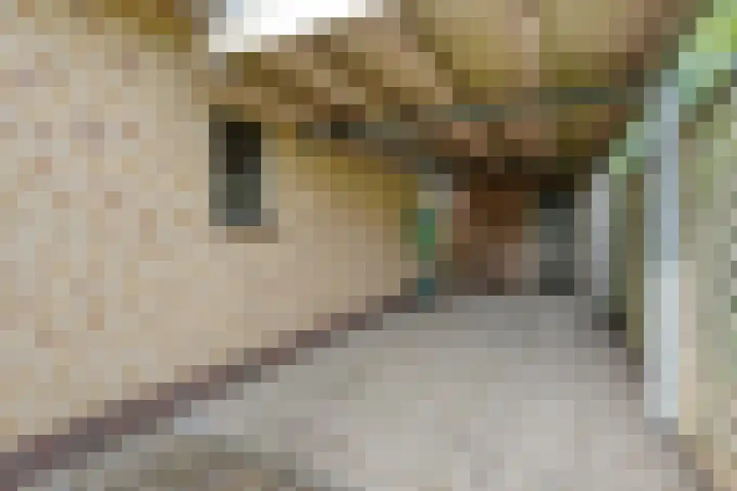 Lindenlaan 131 Ommen thumbnail 34