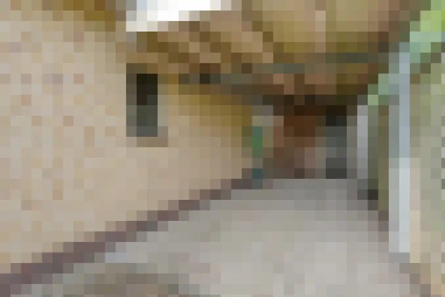 Lindenlaan 131 Ommen thumbnail 34
