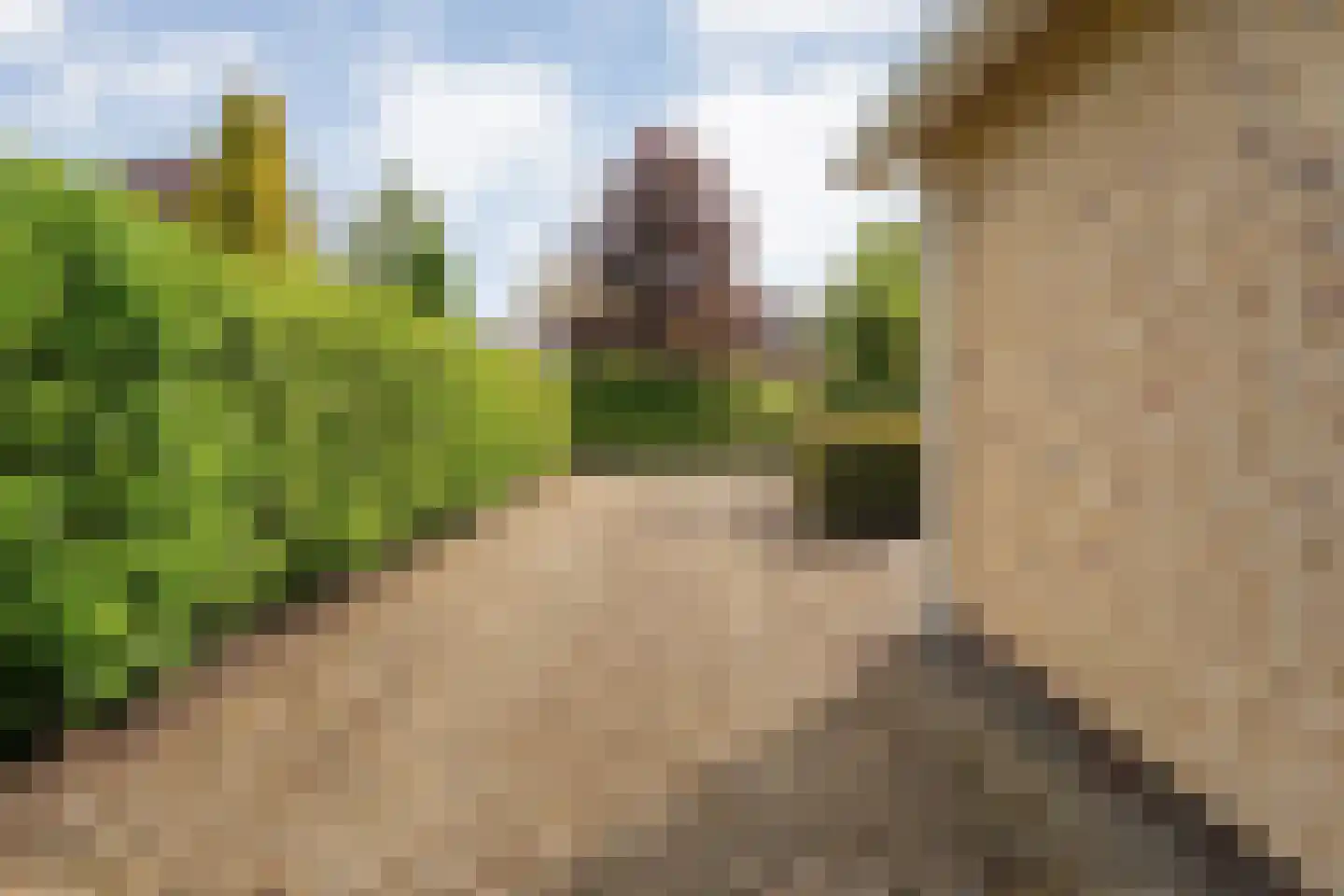 Lindenlaan 131 Ommen thumbnail 35