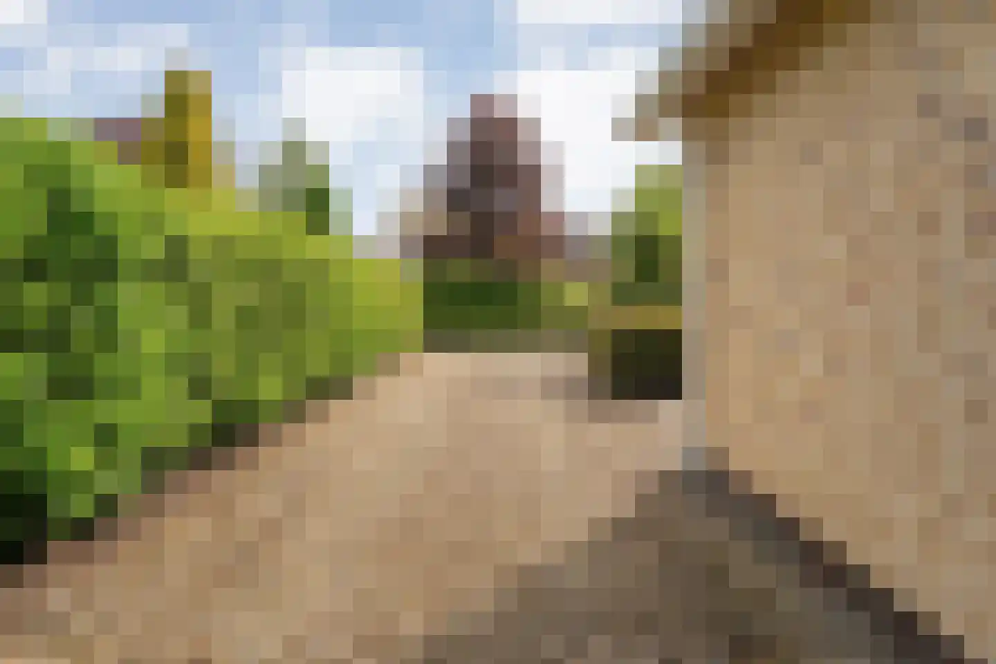 Lindenlaan 131 Ommen thumbnail 35
