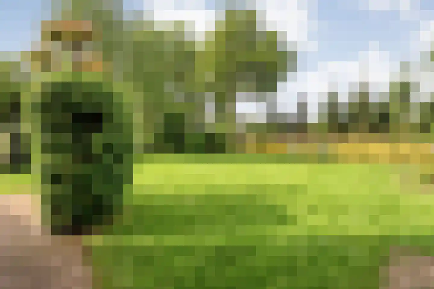 Lindenlaan 131 Ommen thumbnail 36