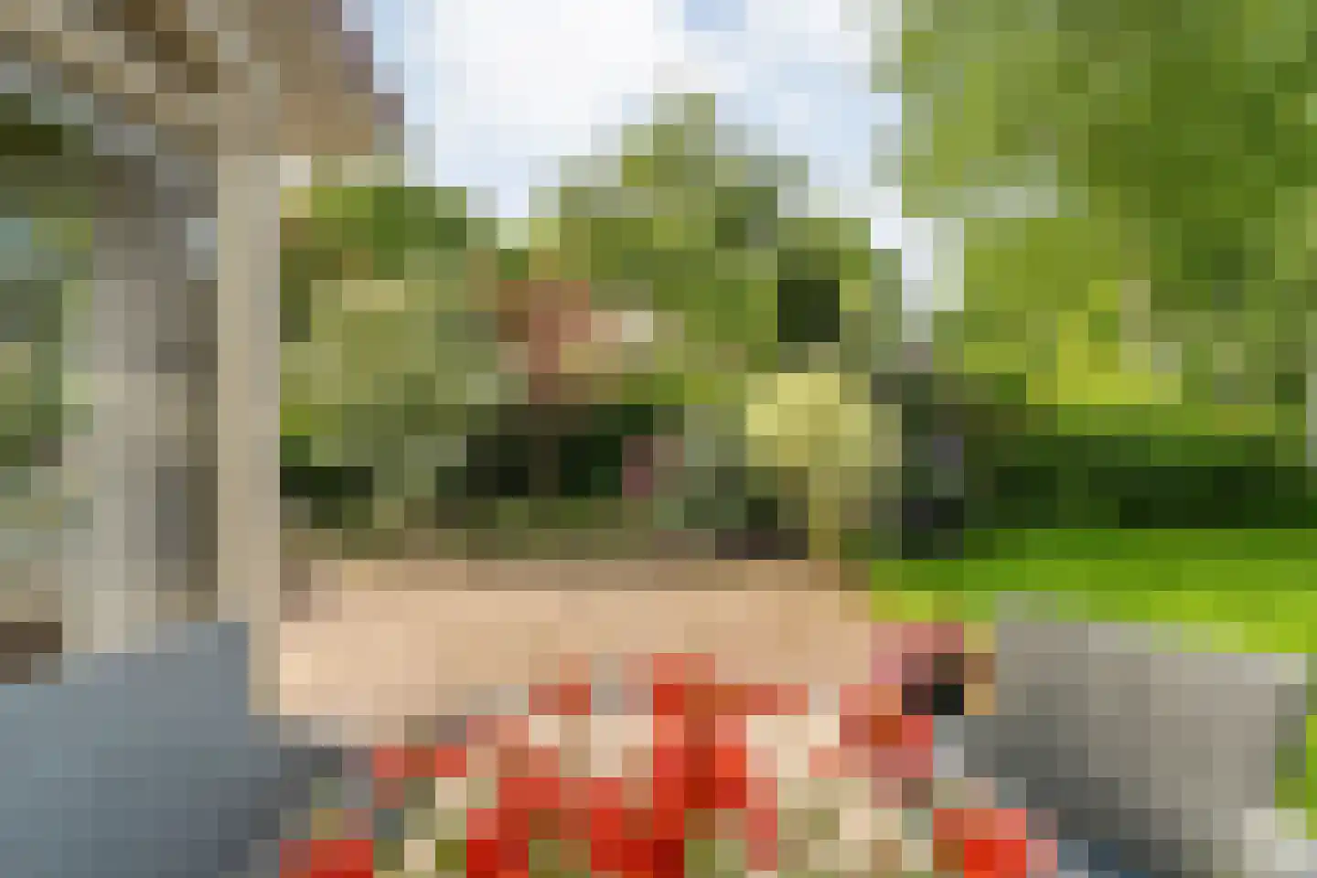 Lindenlaan 131 Ommen thumbnail 39