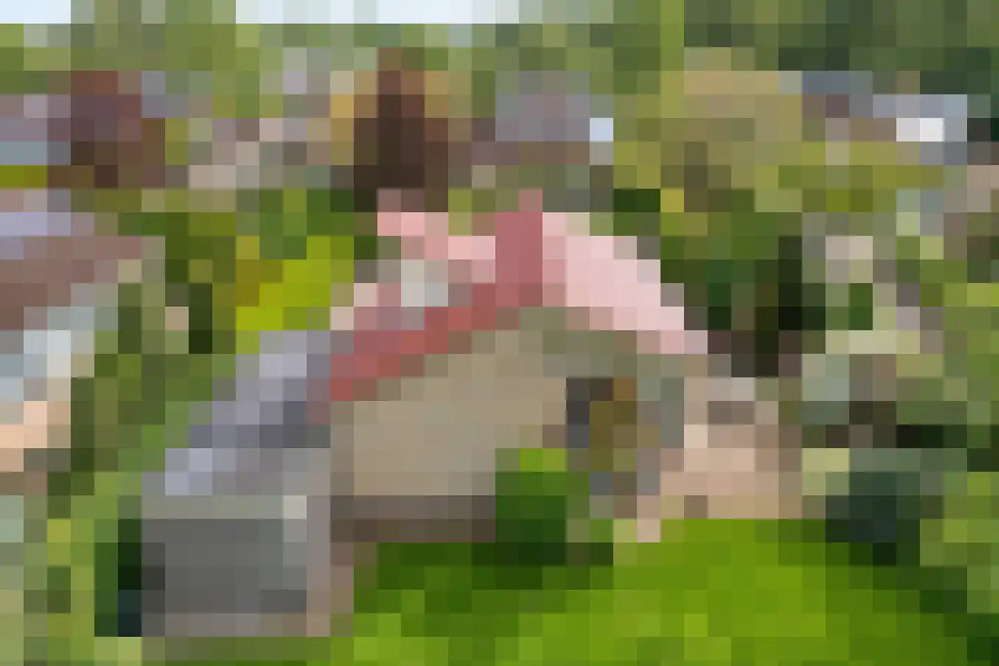 Lindenlaan 131 Ommen thumbnail 4