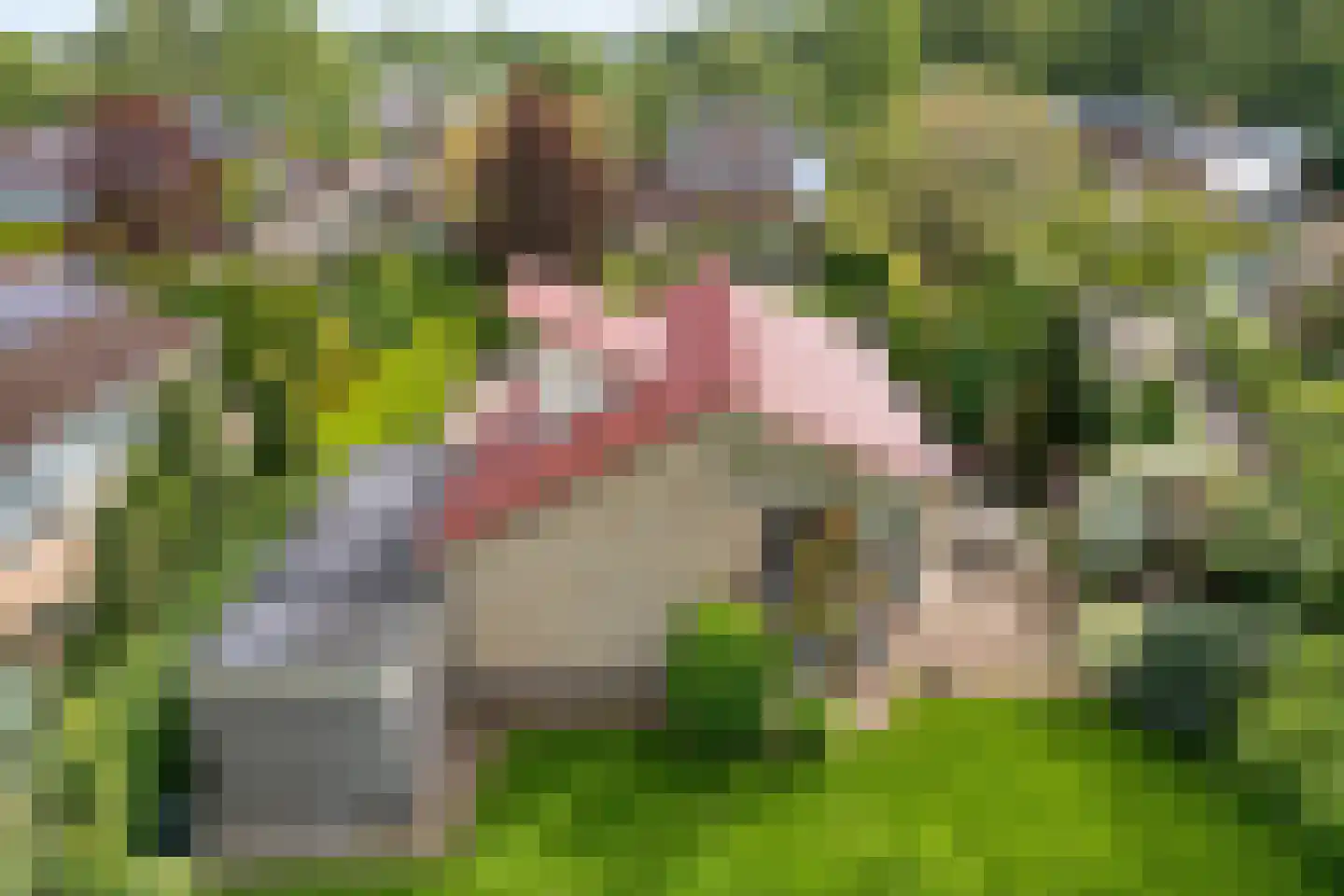 Lindenlaan 131 Ommen thumbnail 4
