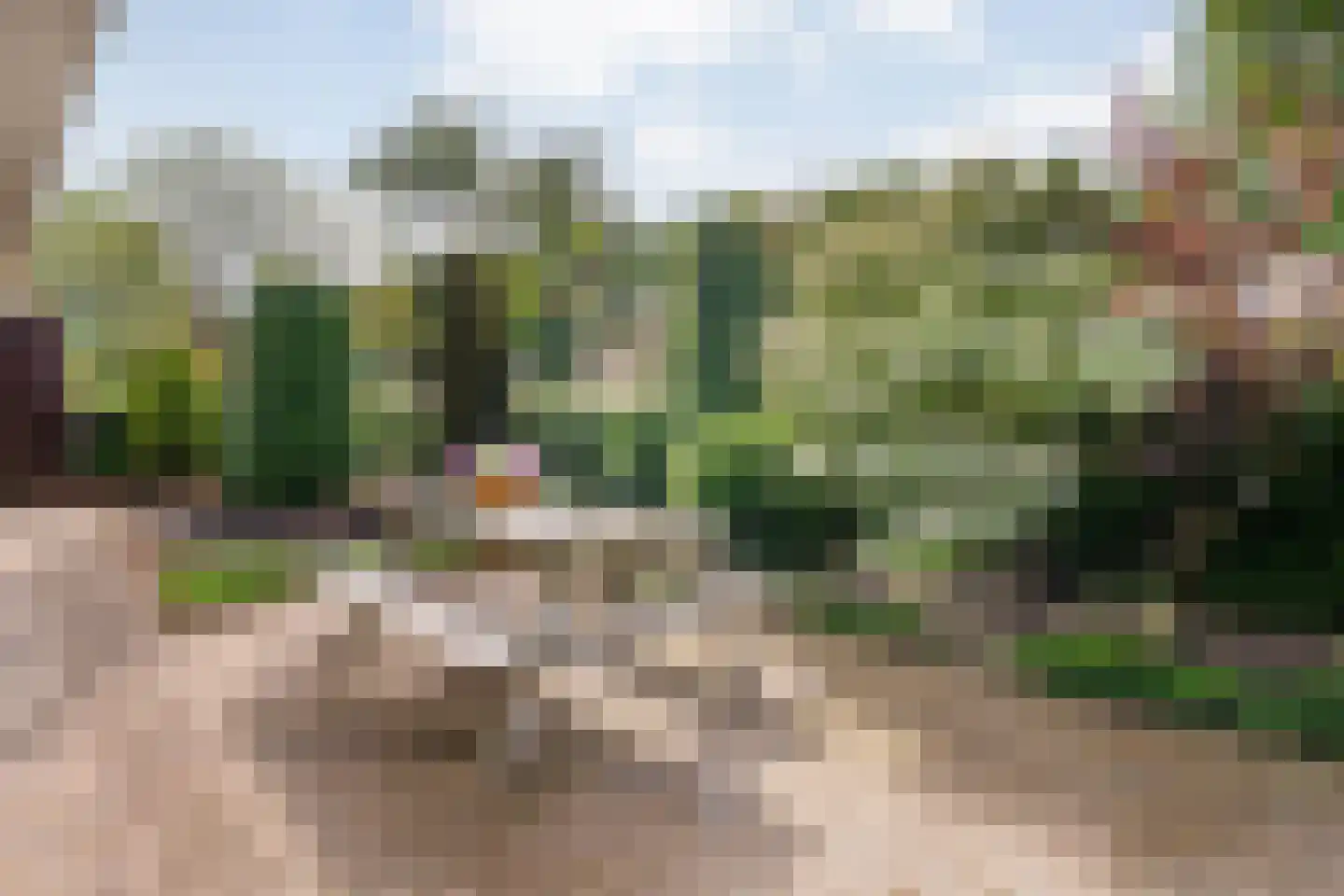 Lindenlaan 131 Ommen thumbnail 40