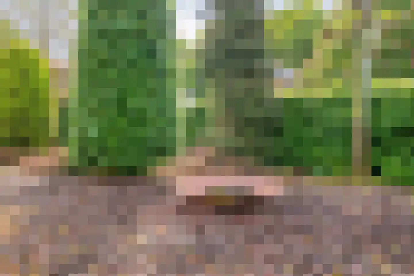 Lindenlaan 131 Ommen thumbnail 41