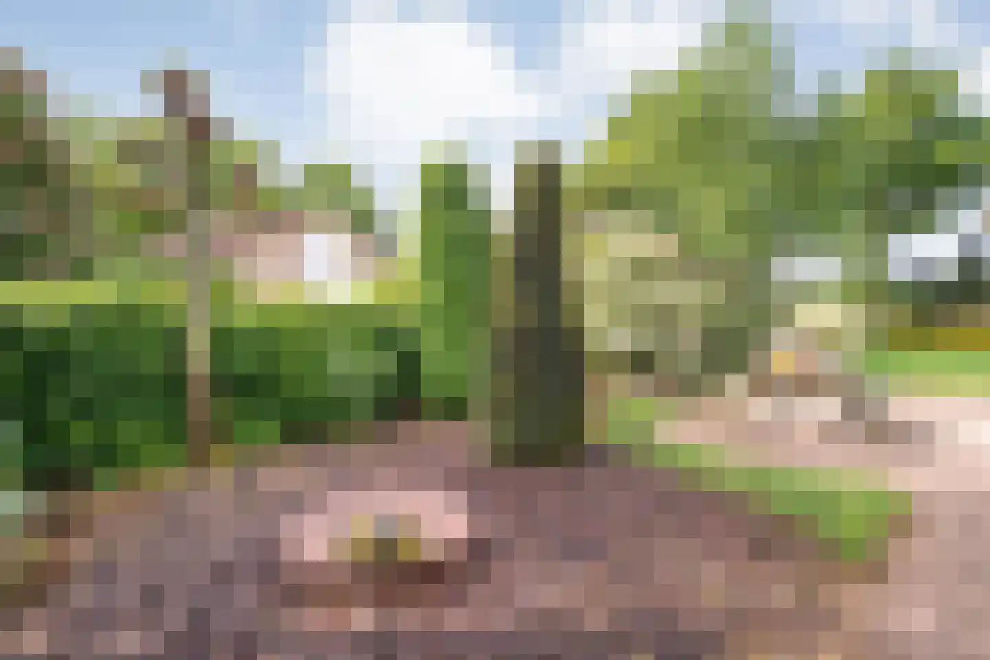 Lindenlaan 131 Ommen thumbnail 42