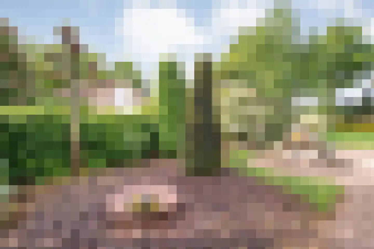 Lindenlaan 131 Ommen thumbnail 42