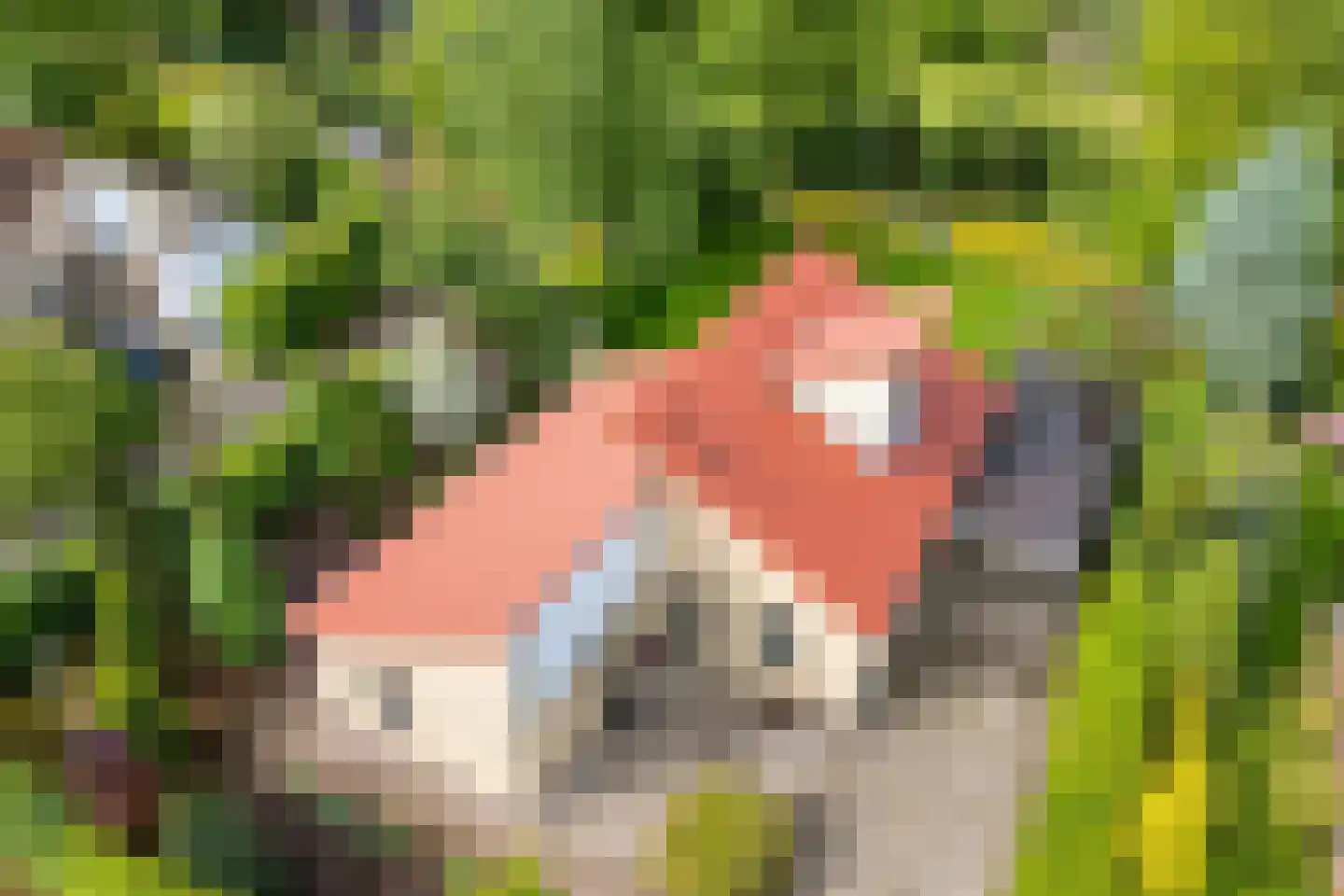 Lindenlaan 131 Ommen thumbnail 5
