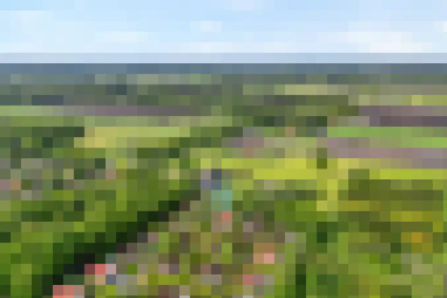 Lindenlaan 131 Ommen thumbnail 6
