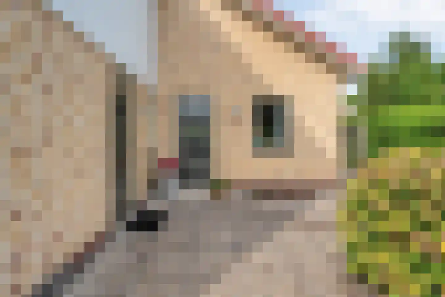 Lindenlaan 131 Ommen thumbnail 9
