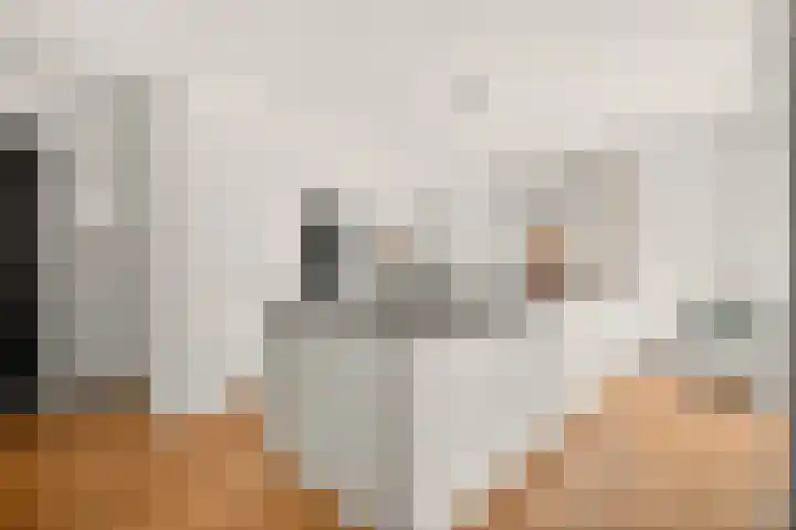 Lindenlaan 137 Huizen thumbnail 14