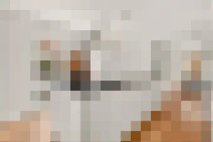 Lindenlaan 137 Huizen thumbnail 17