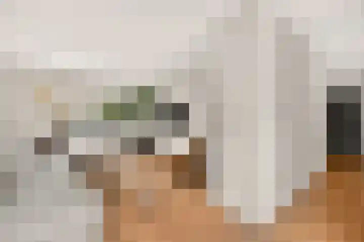 Lindenlaan 137 Huizen thumbnail 18