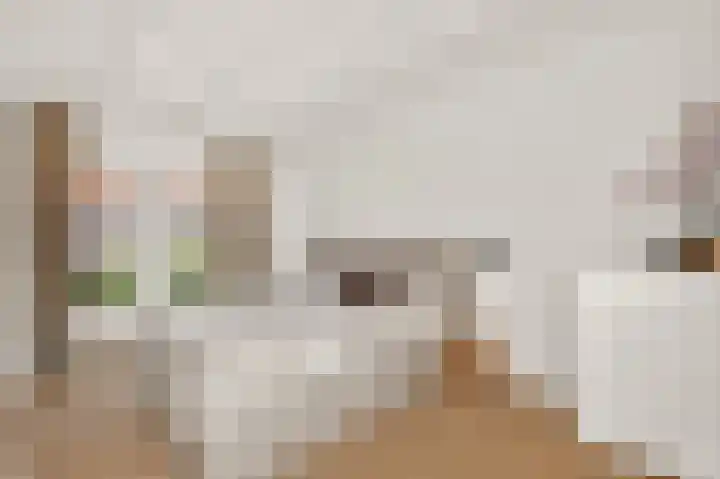 Lindenlaan 137 Huizen thumbnail 26