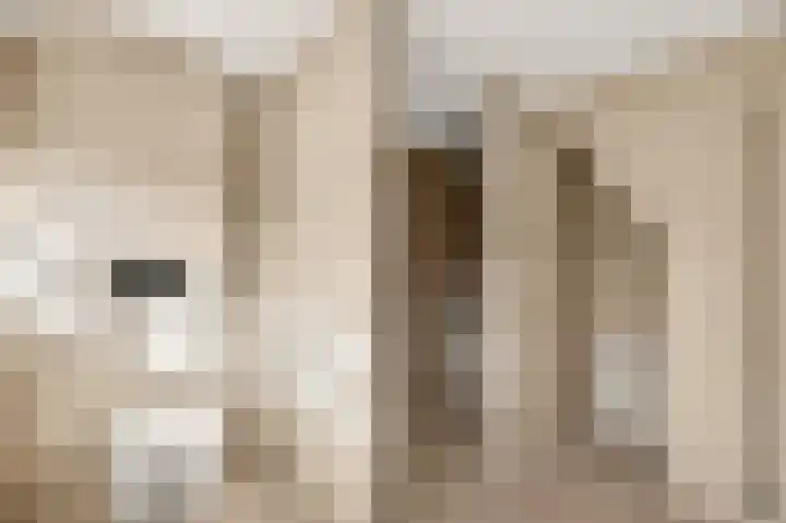 Lindenlaan 137 Huizen thumbnail 31