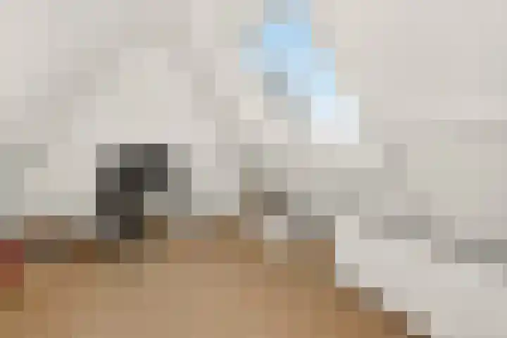 Lindenlaan 137 Huizen thumbnail 38