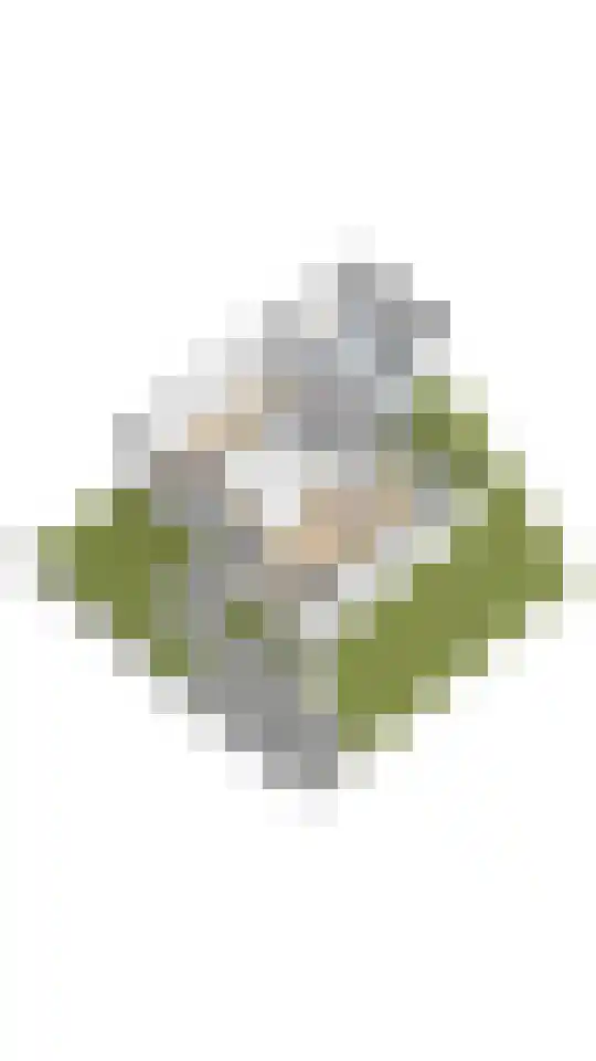 Lindenlaan 137 Huizen thumbnail 45
