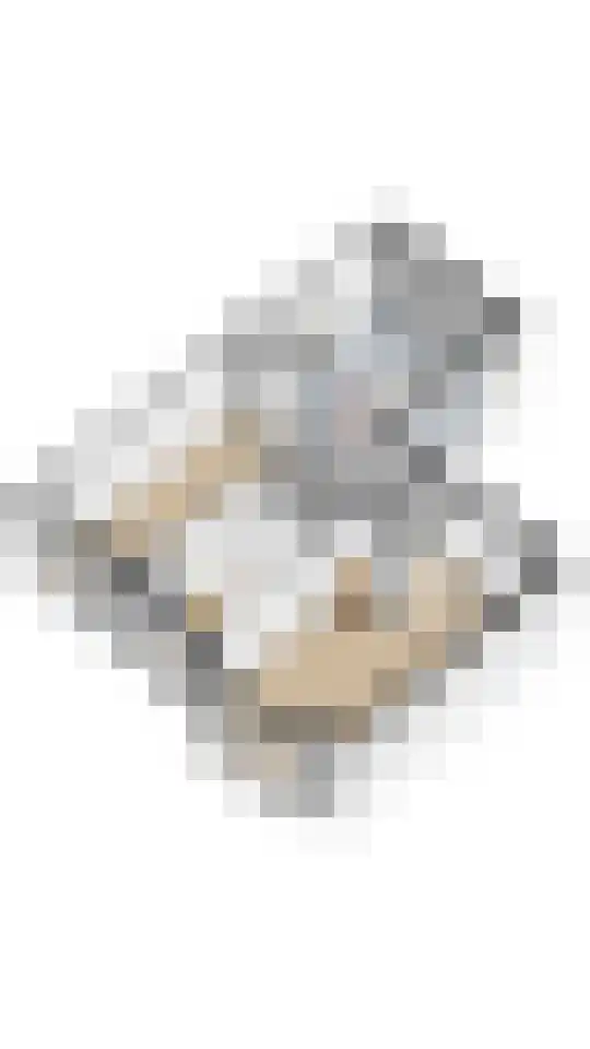 Lindenlaan 137 Huizen thumbnail 46