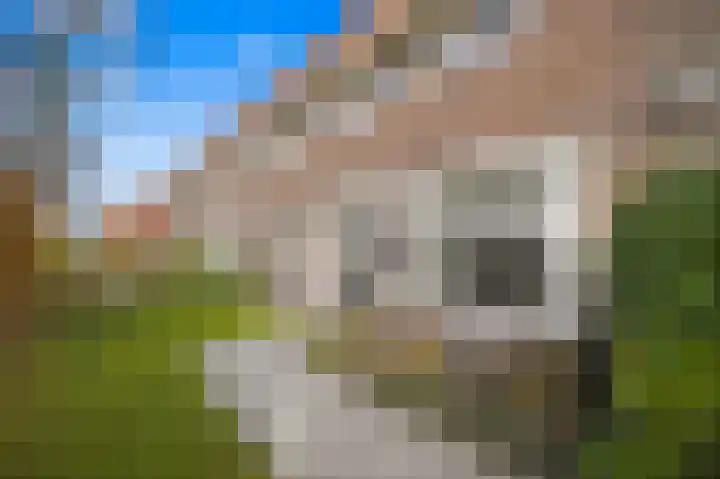 Lindenlaan 137 Huizen thumbnail 6