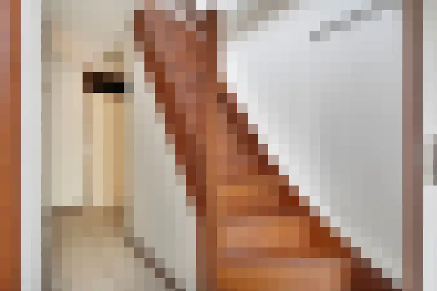 Lindenlaan 139 Ommen thumbnail 23