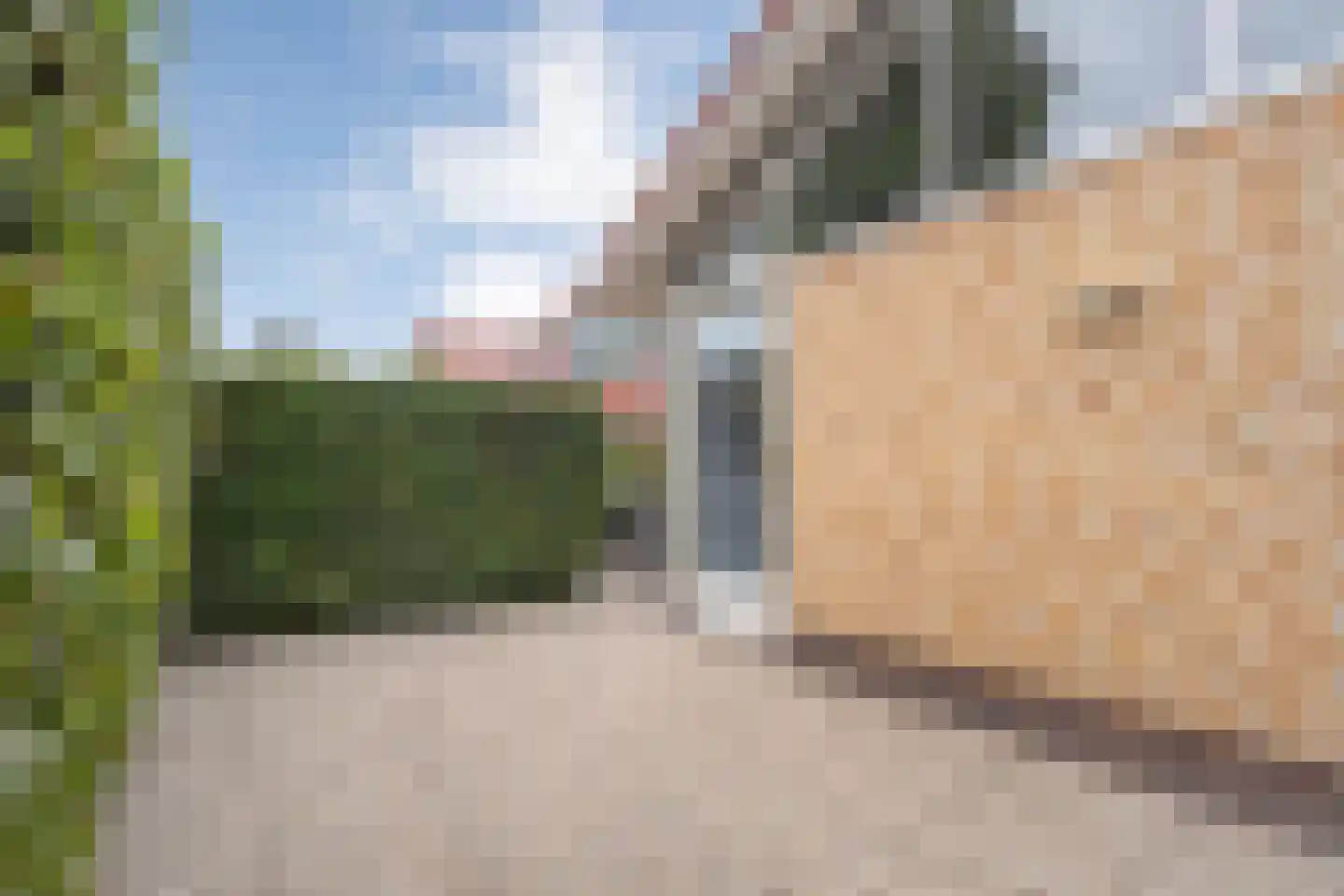Lindenlaan 139 Ommen thumbnail 29