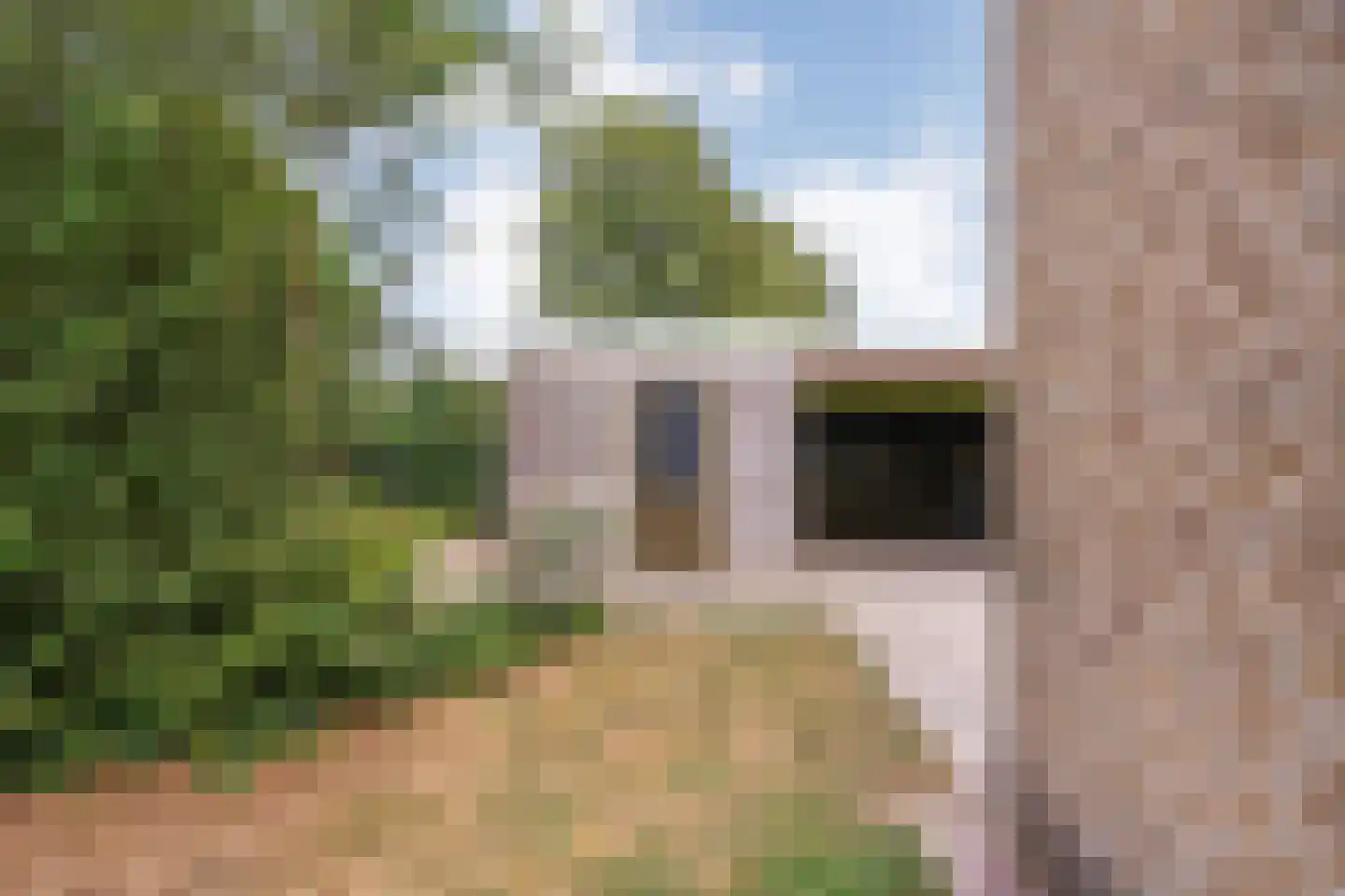 Lindenlaan 139 Ommen thumbnail 42