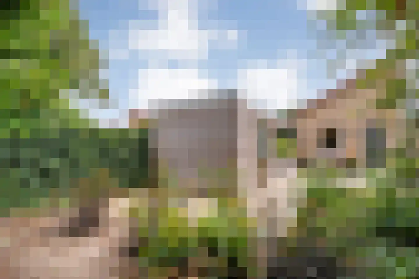 Lindenlaan 139 Ommen thumbnail 43